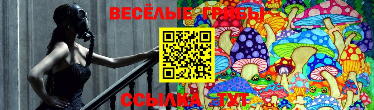 Ставрополь  Галлюциногенные грибы ЛСД  Галлюциногенные грибы MAGIC MUSHROOMS  Вход с VPN 